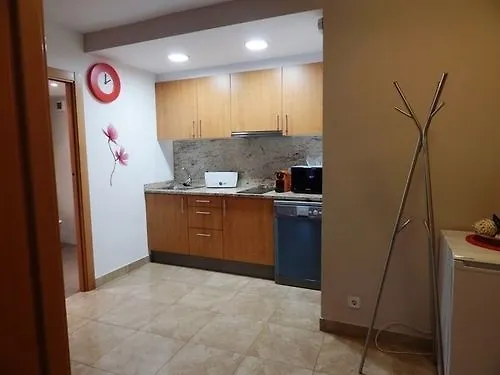 아파트 Pont De Ferro Apartament 지로나 스페인