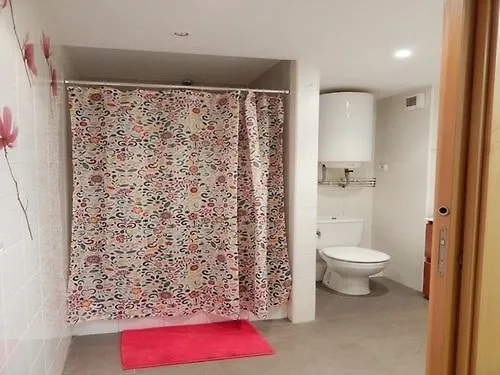 Pont De Ferro Apartament 지로나 스페인