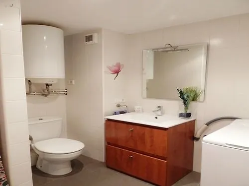 아파트 Pont De Ferro Apartament 지로나